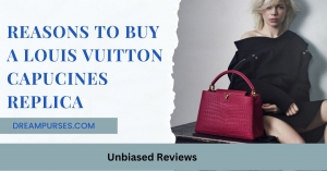 Why you should buy a Louis Vuitton Capucines Replica