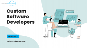 Custom Software Developers