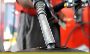 2032, Fuel Marker Market Growth and Research Report by Reports and Insights