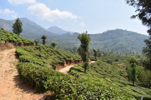 Off-the-Beaten-Path: Unique Homestay Destinations