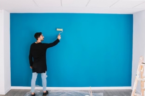 Emulsion Price: Finding the Perfect Paint for Your Walls