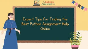 Expert Tips for Finding the Best Python Assignment Help Online