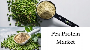 Pea Protein Market Share, Size, Analysis and Growth Forecast Through 2032
