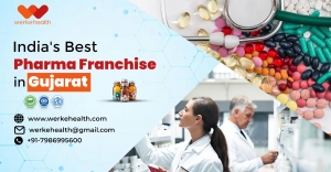 Explore Business Chance with a Pharma Franchise in Gujarat