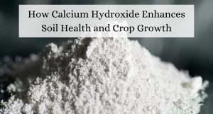 How Calcium Hydroxide Enhances Soil Health and Crop Growth