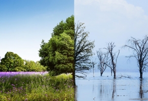 Impact of Green Technology Innovations on Climate Change