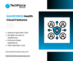 Is Your Patient Care Falling Behind? Here's How a Salesforce Health Cloud Consultant Can Help!