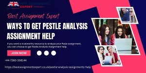 Ways To Get PESTLE Analysis Assignment Help