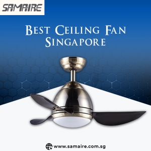 Ceiling Fan Review Singapore: Why Samaire Ceiling Fan Stands Out