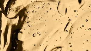 Is the Key to Youthful Skin Found in Sea Moss?
