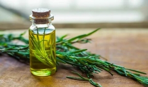 How to Incorporate Rosemary Oil into Your Beauty Routine in Pakistan: