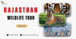 Unbelievable Rajasthan Wildlife: Tours You Won't Believe!