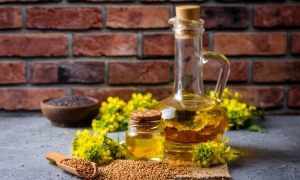 Where to find best mustard oil for cooking