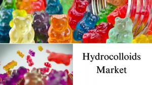 Hydrocolloids Market Size, Share, Trends and Growth Forecast to 2032