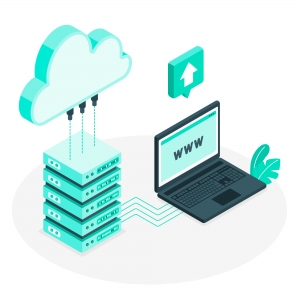 Best Host for Small Business Websites