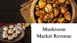 Mushroom Market Revenue, Size, Share, Analysis and Growth Forecast Through 2032
