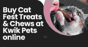Purchase Cat Fest Treats & Chews at Kwik Pets online