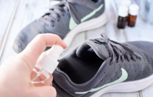 Shoe Deodorizer