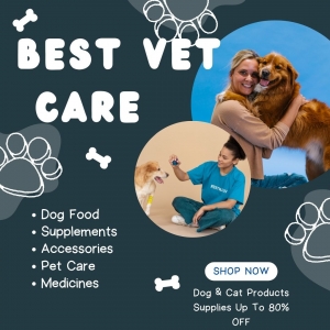 What Every Pet Owner Needs: Premium Supplies from Best Vet Care