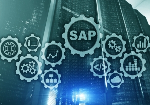 Unlocking the Full Potential of SAP Active for Businesses in London