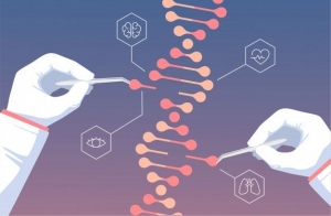 Genome Editing Market