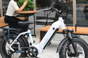 Everything You need to Know about Longest Range Ebike