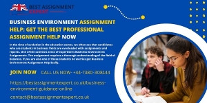 Business Environment Assignment Help: Get The Best Professional Assignment Help Now