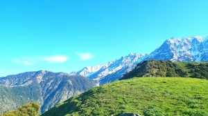 A Journey Through Flavors: Homestays for the Food-Loving Traveler