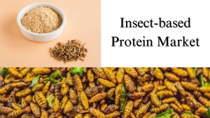 Insect-based Protein Market Share, Size, Analysis and Growth Forecast Through 2029