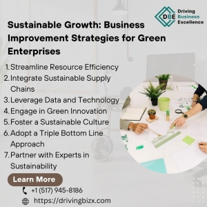 Sustainable Growth: Business Improvement Strategies for Green Enterprises