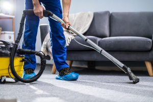 Battling with a Carpet Beetle Infestation? Find Out if DIY or Professional Carpet Cleaning is the Right Solution for You