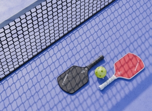 Why Pickleball is the Perfect Game for Staying Active: A Guide to Pickleball Paddles, Courts, and More