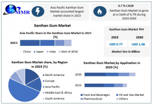 Xanthan Gum Market Forecast: From US$ 0.77 Billion to US$ 1.06 Billion by 2030