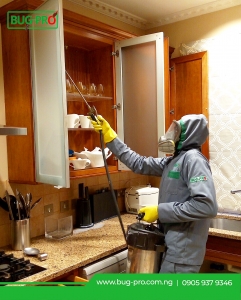 Comprehensive Guide to Fumigation Services in Nigeria: Ensuring a Pest-Free Environment