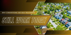 Why Conventional Bed Bug Treatments Still Work Today