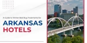 A Guide to Winter Bed Bug Treatments for Arkansas Hotels