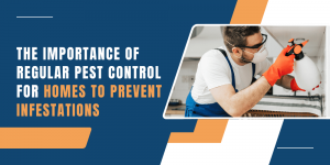 The Importance of Regular Pest Control for Homes to Prevent Infestations