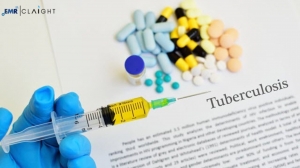 Global Tuberculosis Treatment Market , outlook , Market, Trends & Growth 2024-2032