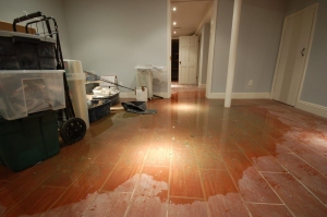 Expert Flood and Leak Restoration Services in Denver, CO: Why ASAP Water Damage and Restoration LLC Is Your Go-ToSolution