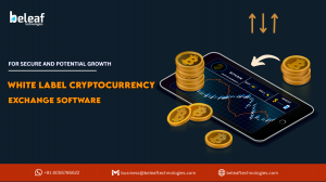 White Label Cryptocurrency Exchange Software for Secure and Potential Growth