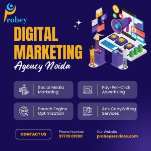 Digital Marketing in Noida: Which Agency is Right for You?