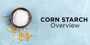 Discover the Excellence of Bluecraft Agro: Premier Corn Starch Manufacturers in Gujarat
