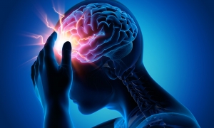Concussions Market Growth Analysis, Size, Share, Report 2024-34