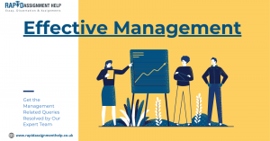 Diversity and Inclusion in Management: A Comprehensive Guide for Leaders