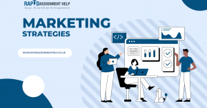 The Future of Video Marketing: Key Insights for 2024