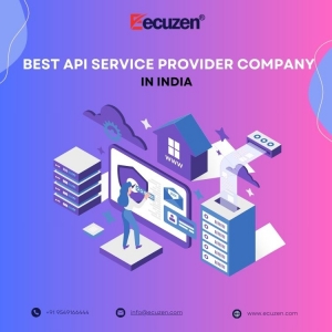 Unlocking Excellence: Choosing the Best API Service Provider Company in India