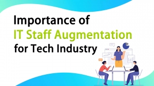 Importance of IT Staff Augmentation for Tech Industry