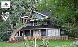 How to Restore Your Property After Storm Damage in Philadelphia
