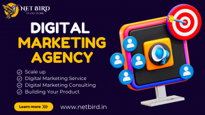 Top Digital Marketing Agency in Noida: Net Bird IT Solutions for Fast Growth