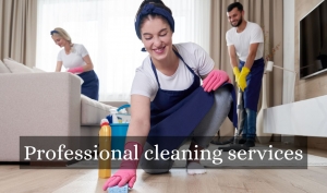 Professional Cleaning Services: Elevating Hygiene and Cleanliness Standards